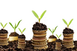WEALTH MANAGEMENT